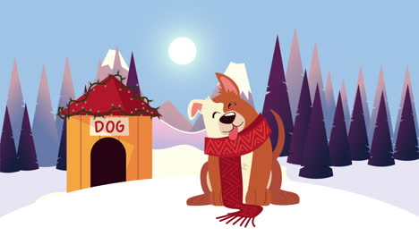 cute little dog in house with christmas suit snowscape scene
