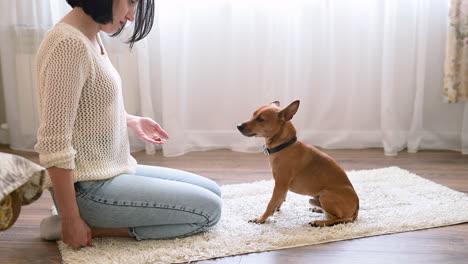 Mujer-Morena-Arrodillada-En-La-Alfombra-En-El-Piso-De-La-Sala-Alimenta-A-Su-Perro-Con-La-Mano