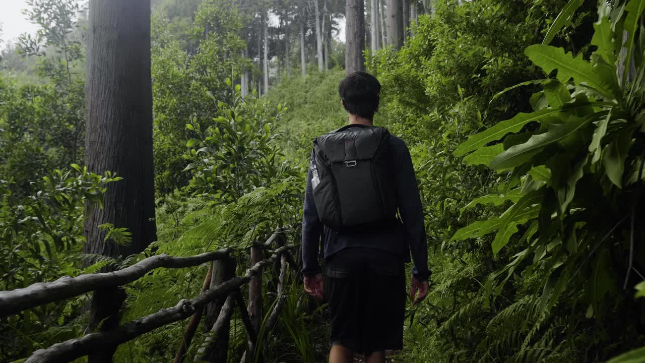 마데이라, 포르투갈 - 녹색 나무와 다양한 식물로 가득한 숲의 오솔길을 따라 혼자 천천히 걷고 있는 남성 백패커 - 클로즈업 샷