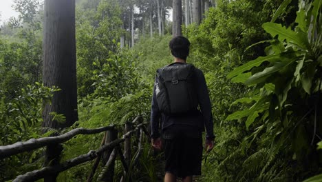 madeira, portugal - male backpacker slowly walking alone along the trail in the forest full of green trees and different plants - closeup shot