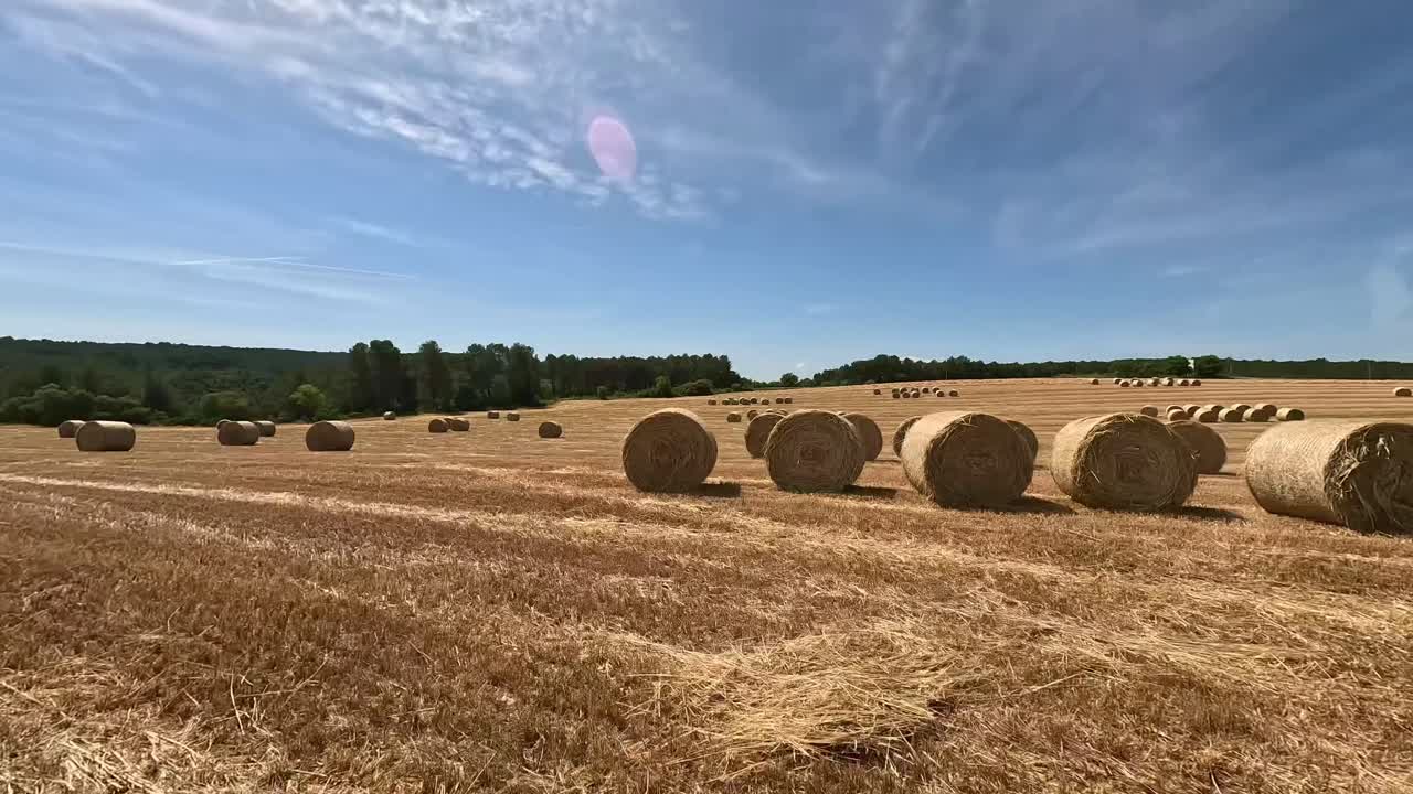 Smooth FPV drone footage capturing the scenic view of a harvested grain field dotted with neatly arranged hay bales under a vast, clear blue sky.