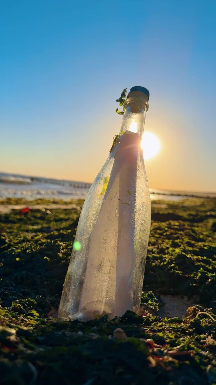 Bottiglia con lettera al tramonto sull'oceano. Bottiglia trasparente con messaggio arrotolato in mezzo alle alghe durante un tramonto dorato
