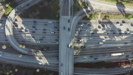 Vista-Aérea-De-Pájaros-Vista-De-Arriba-Hacia-Abajo-Del-Tráfico-De-La-Intersección-Con-Palmeras-Y-Al-Lado-Del-Centro-De-Los-ángeles,-California-Mirando-Hacia-Abajo