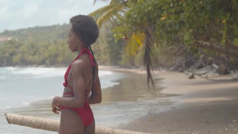 Increíble-Chica-Afro-Caminando-Hacia-El-Océano-En-Bikini-En-Una-Playa-Tropical