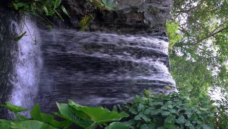 vertical video - water cascade on rocks, waterfall surrounded by lush vegetation