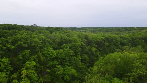 Hermoso-Paisaje-Natural-De-Exuberantes-Bosques-Verdes-En-El-Medio-Oeste-De-Los-Estados-Unidos,-Estado-De-Missouri---Antena