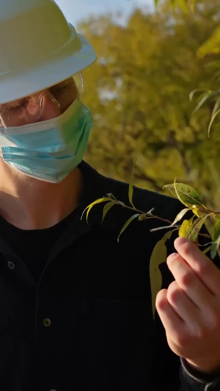 Masked person kneels near water edge conducting field sampling checking leaves of plant, vertical