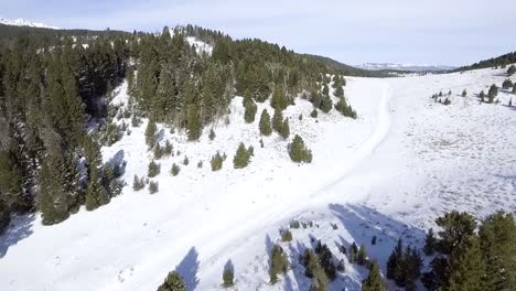 Eine-Straße-Im-Hang-Schneidet-Durch-Die-Bäume