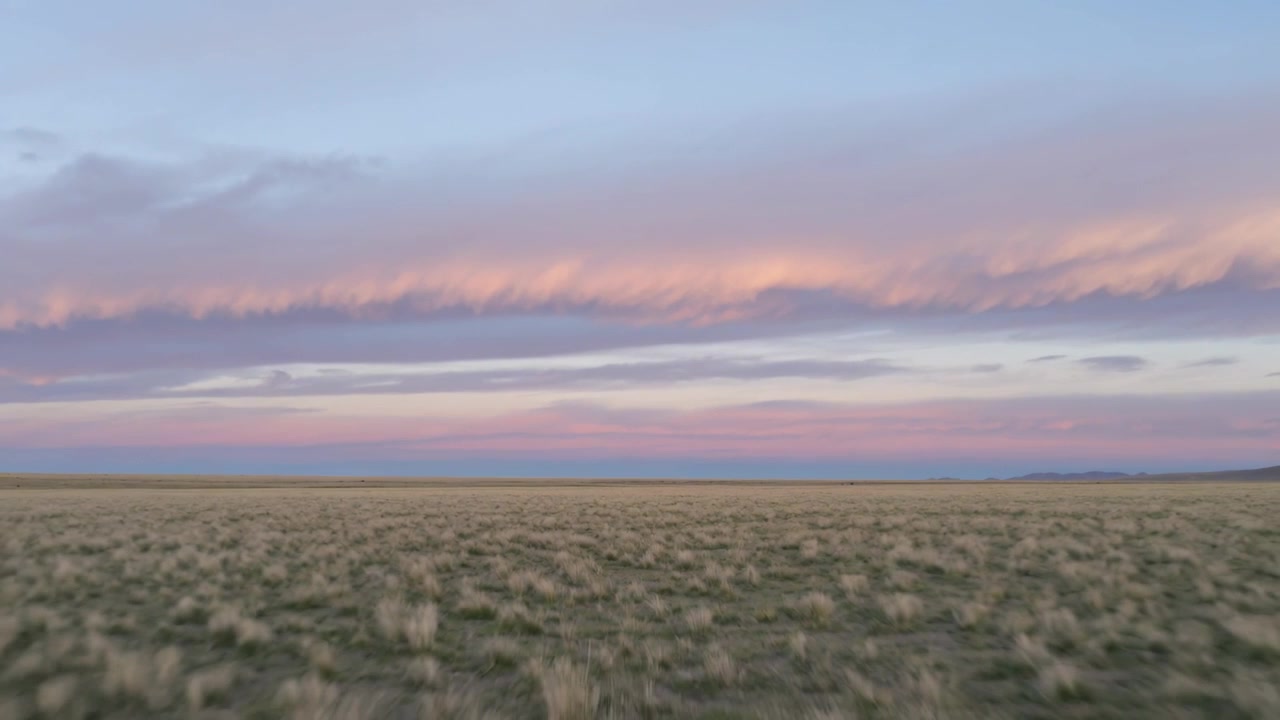 Erbe a ciuffi che ondeggiano con un vento leggero, una fascia di nuvole che si sposta attraversando la prateria piatta al tramonto.