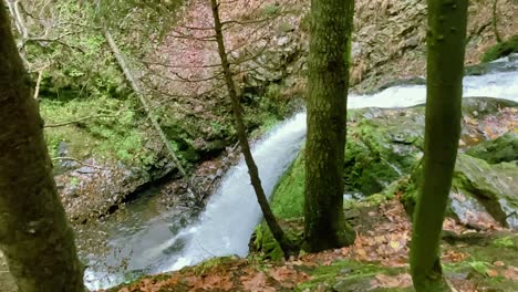 Cámara-Lenta-De-La-Cascada-En-El-Desfiladero-De-Ravenna-En-La-Selva-Negra