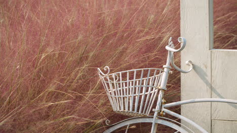 Kräuterinsel-Farm-Fotoplatz-Türrahmen-Mit-Weißem-Retro-Fahrrad-Von-Pink-Muhly