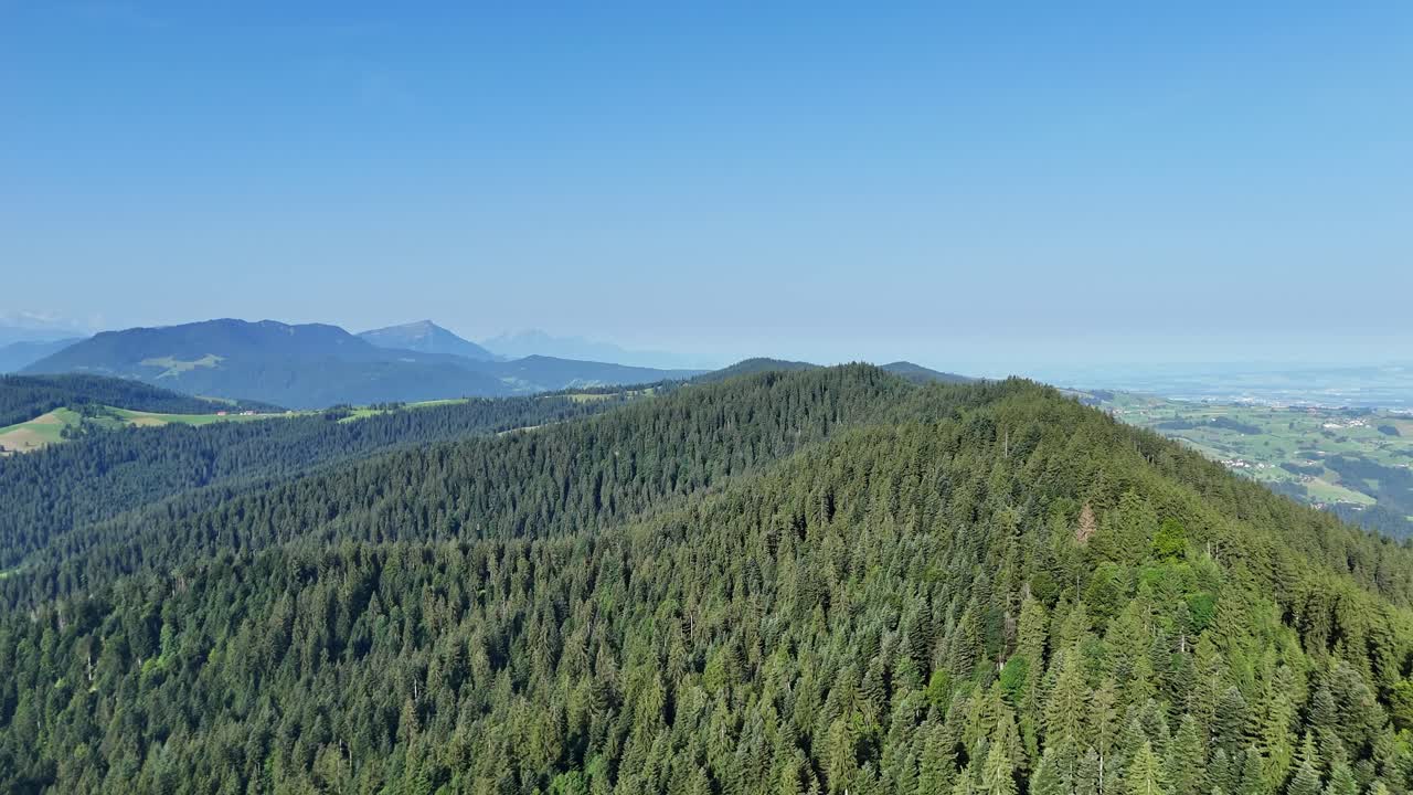 숲이 인 와일드스피츠 산, 은 푸른 하늘 아래, 스위스 오베레게리