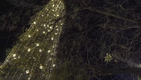 árbol-De-Navidad-Con-Luces-Brillantes-Visto-A-Través-De-Ramas-De-árboles-Sin-Hojas-En-Vigo,-España-Por-La-Noche