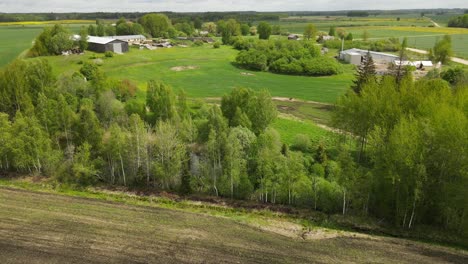 drone shot from the top of a crop field