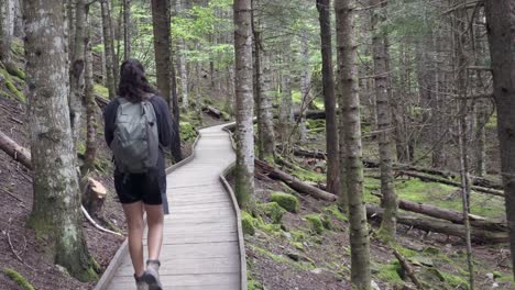 girl alone with backpack hiking in a beautiful lush forest through a trail