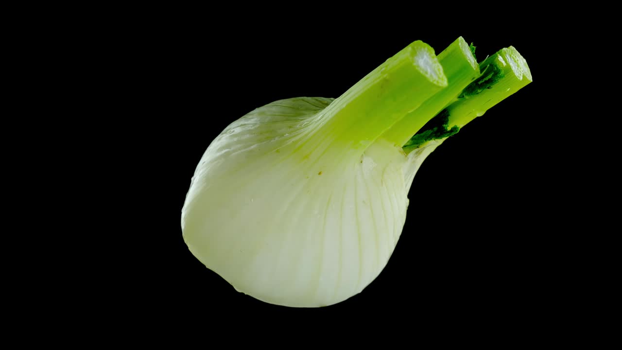 sabrosa raíz de hinojo con gotas de agua clara sobre un fondo negro