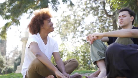 Fröhliche-Multiethnische-Freunde,-Die-Im-Park-Lachen