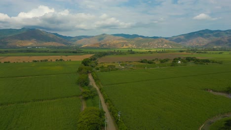 Cultivos-Aéreos-De-Caña-De-Azúcar-Junto-A-Las-Montañas.