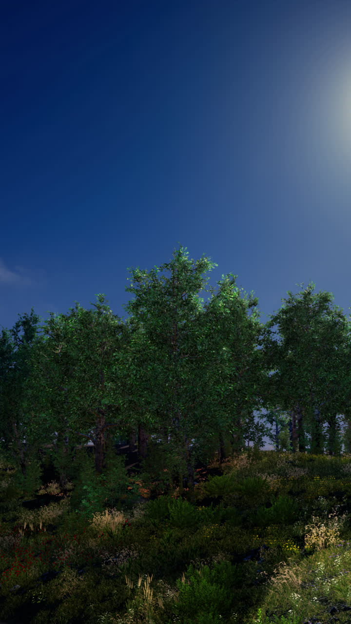 보름달 아래의 밤의 숲