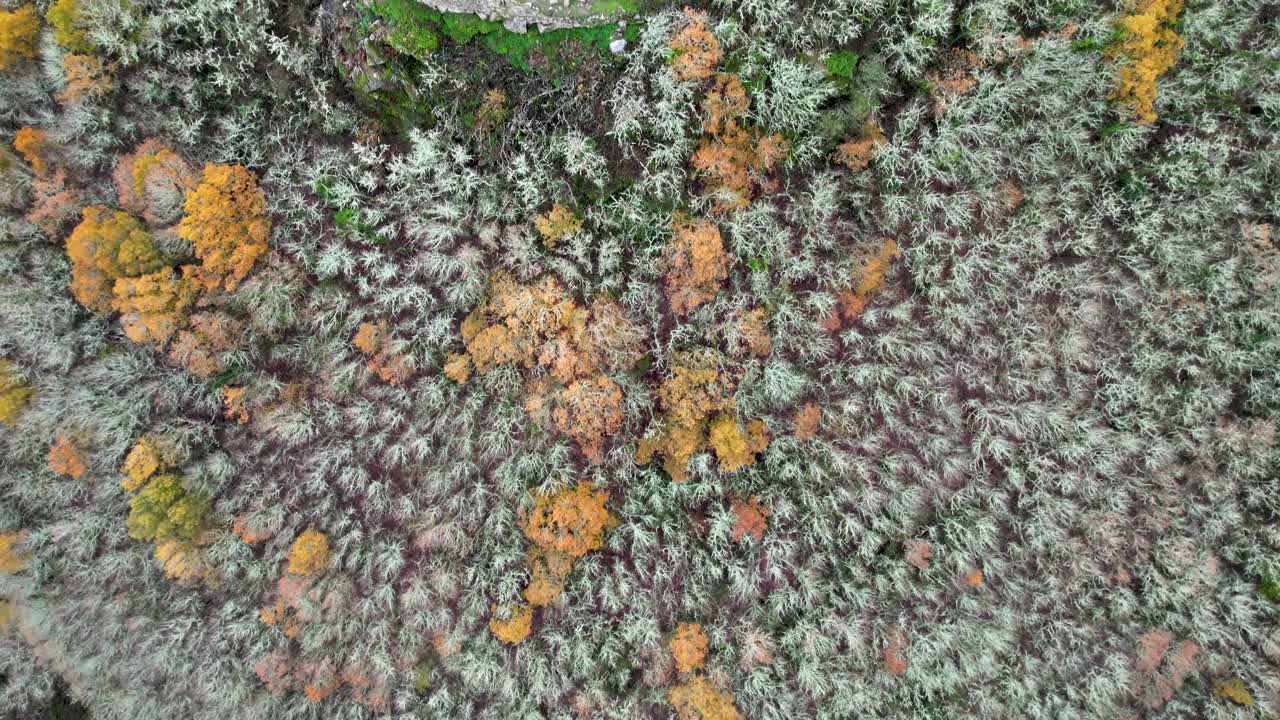Top down view castle-tower &amp;quot;da pena&amp;quot; located in xinzo de limia, ourense, spain