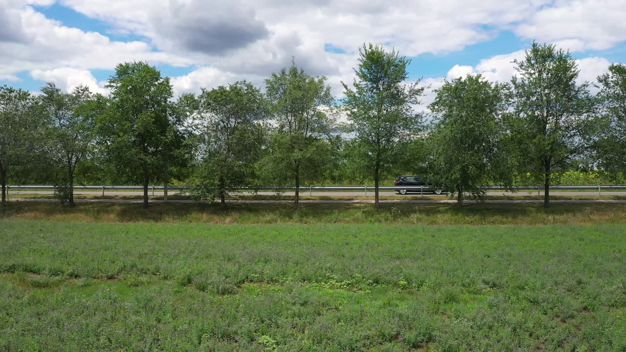 여름에 시골 도로를 따라 운전하는 자동차의 드론