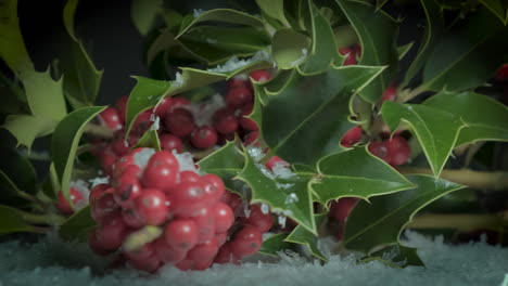 sprigs of holly with red berries, rotating traditional festive scene with snow falling