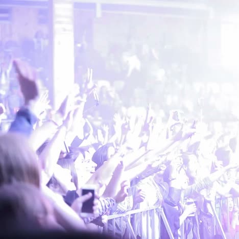 crowd at a concert