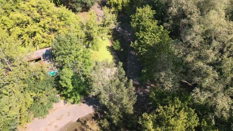 Finding-an-old-water-overgrown-water-filtration-plant-with-a-drone-from-the-air