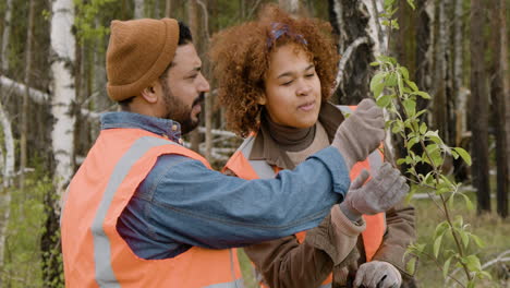 afroamerikanerin und arabische mitarbeiterin beobachten die blätter eines baumes im wald