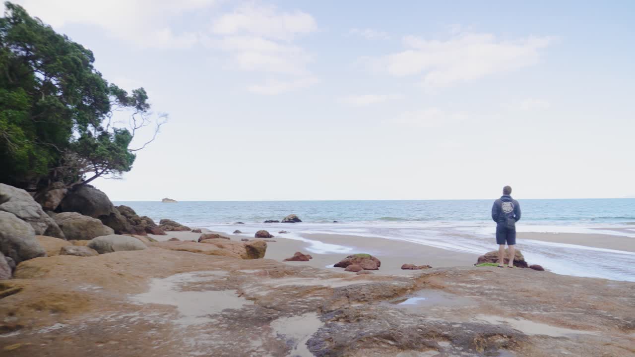 camino, alto, elemento, árboles, colección, montar, campo, óceano, plantas, bosques, montañas, colores, concepto, llamativas, aislado, patrones, distancia, mar, flotante, paisajes, viajes, naturaleza, rock, acantilado