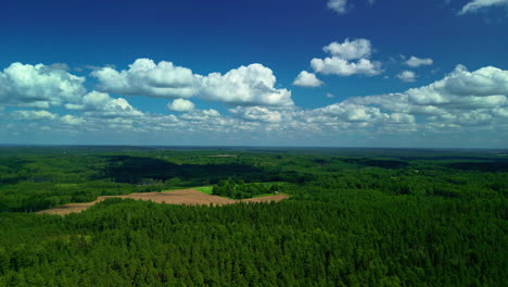 farmland fields in a vast forested wilderness - aerial view