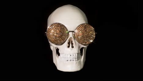 human skull with sunglasses