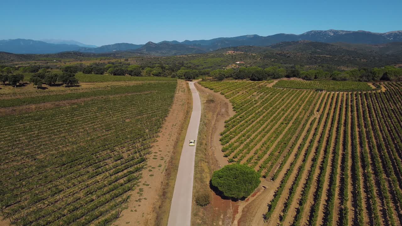 Affascinante ripresa aerea di un'auto che si snoda attraverso vigneti rigogliosi con i Pirenei catalani che si ergono in lontananza.