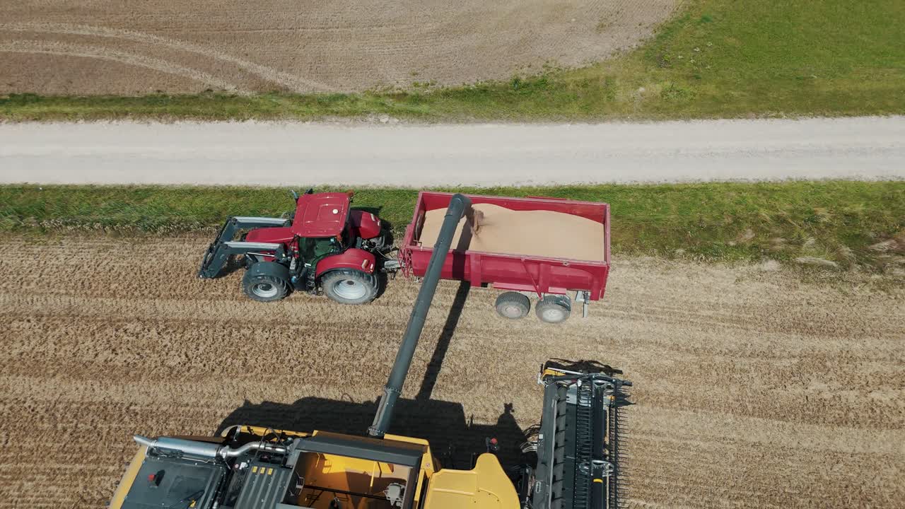 25 august 2024 Penkule, Latvia - Aerial View of Combine Harvester at Work. Summer Field Work on the Farm. Top View of Combine Gathering Corn or Wheat Crop.