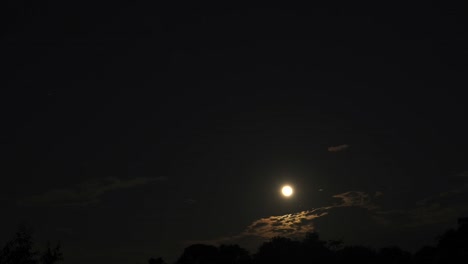 Timelapse-De-La-Rara-Luna-Azul-Que-Se-Eleva-Detrás-De-La-Cubierta-Del-Bosque