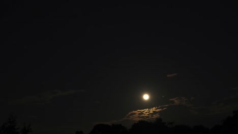 el lapso de tiempo de la rara luna azul que se levanta detrás de la cubierta del bosque