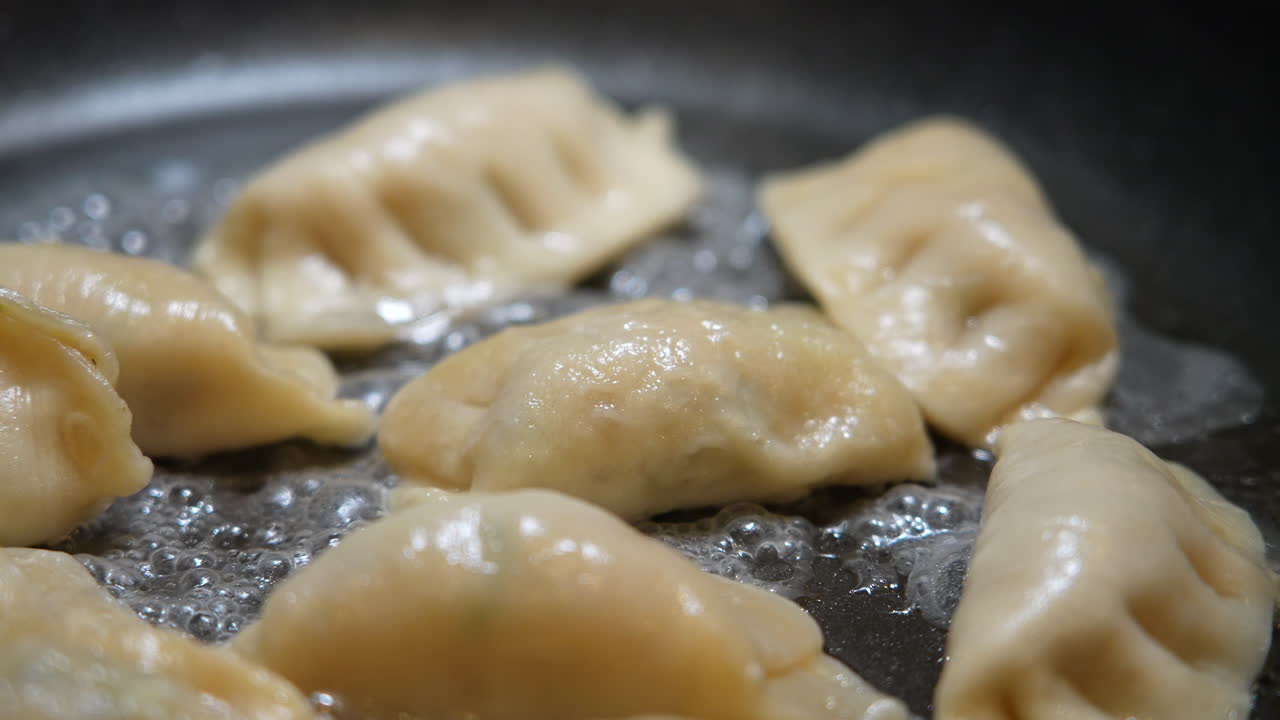 Sizzling Japanese gyoza dumplings in a pan - macro close up in slow motion