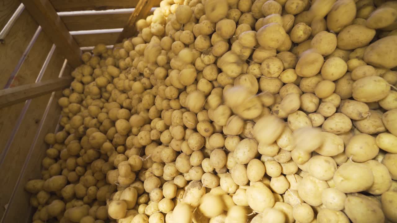 las patatas se están rodando.