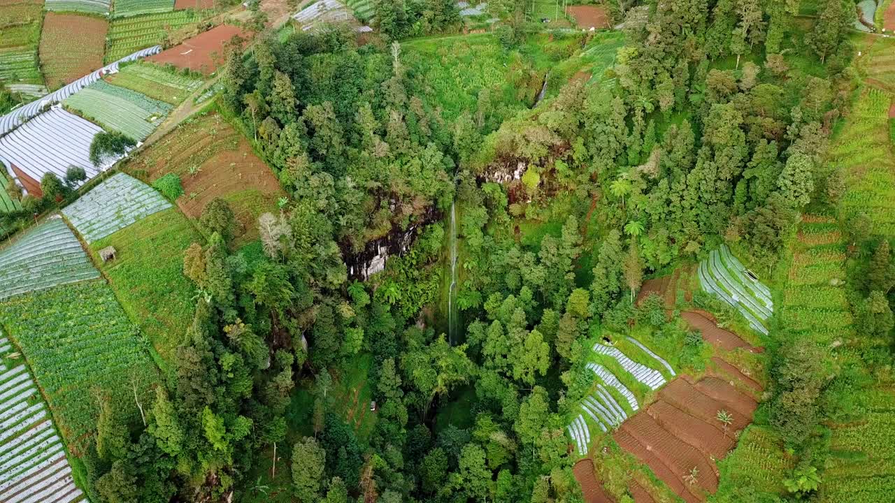 toma de drones del acantilado de la montaña con cascada rodeada de árboles y plantaciones