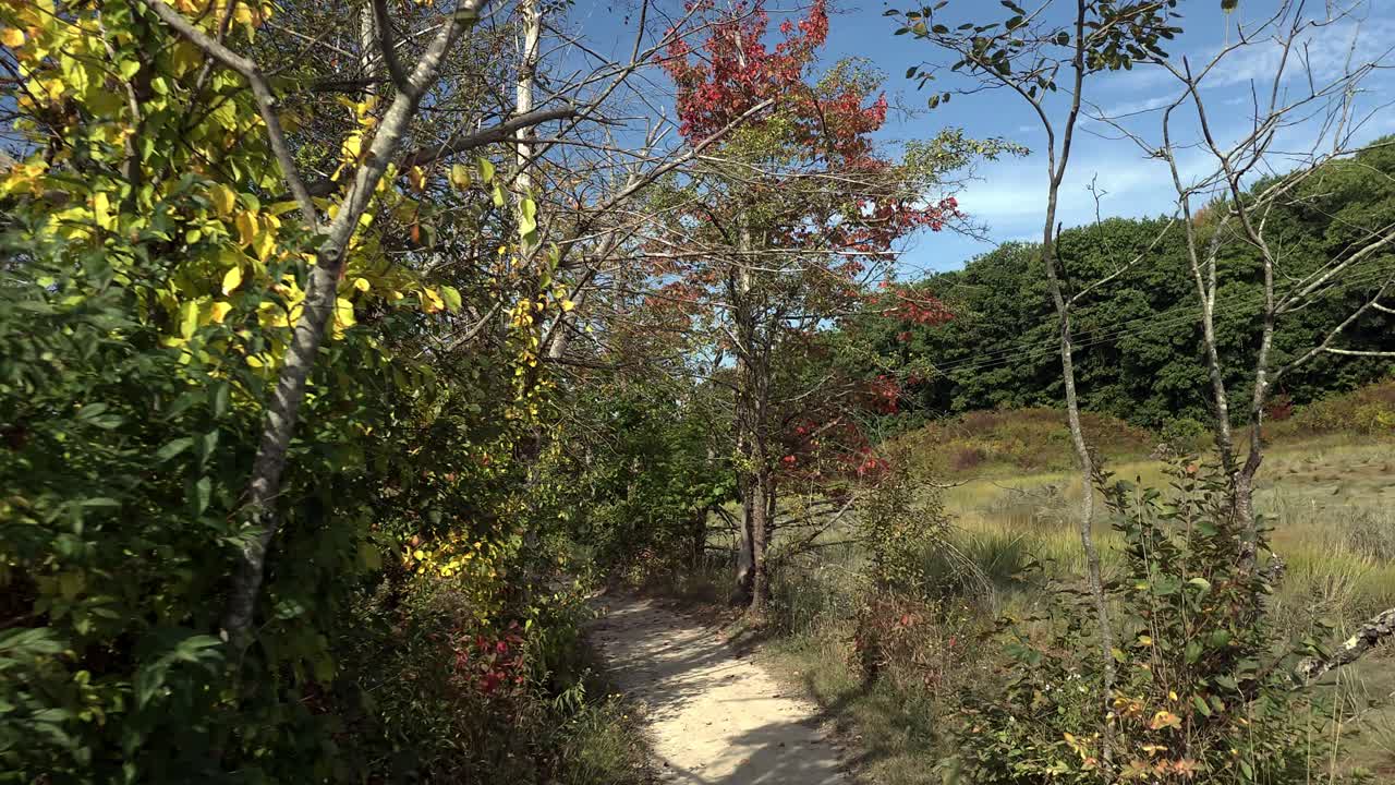 caminando por el santuario del río, portland, maine mostrando los colores de las primeras hojas de otoño