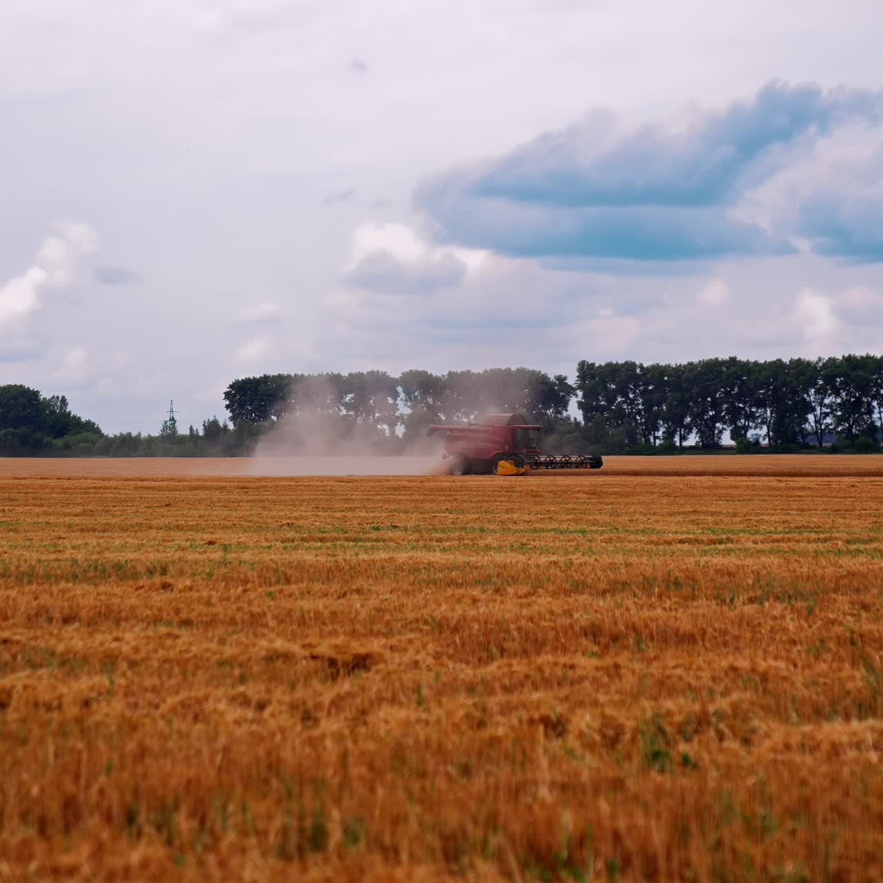 Agricultural huge combine working in the field. Harvesting golden wheat by modern machine