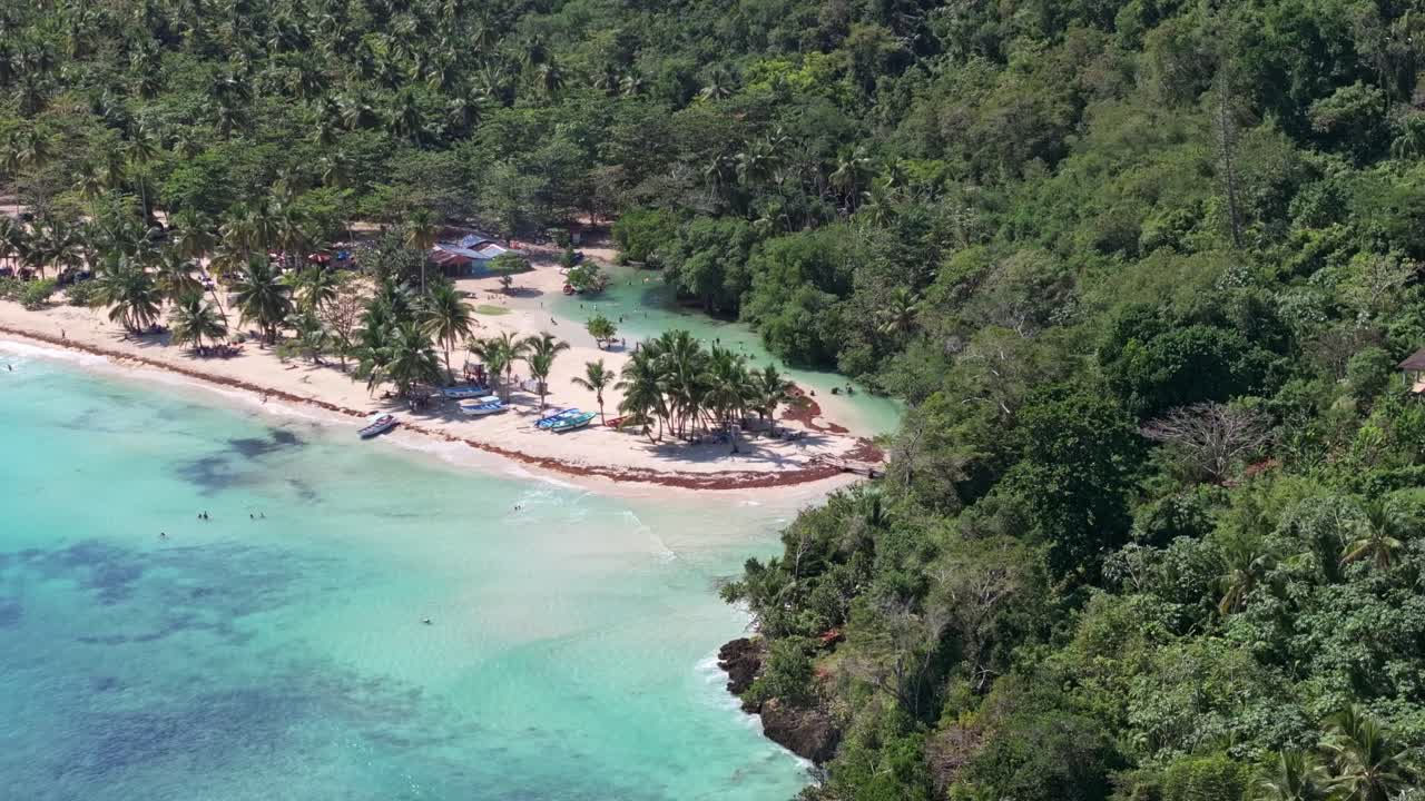 Fiume Cano Frío a Las Galeras, Samaná, Repubblica Dominicana con palme da cocco.