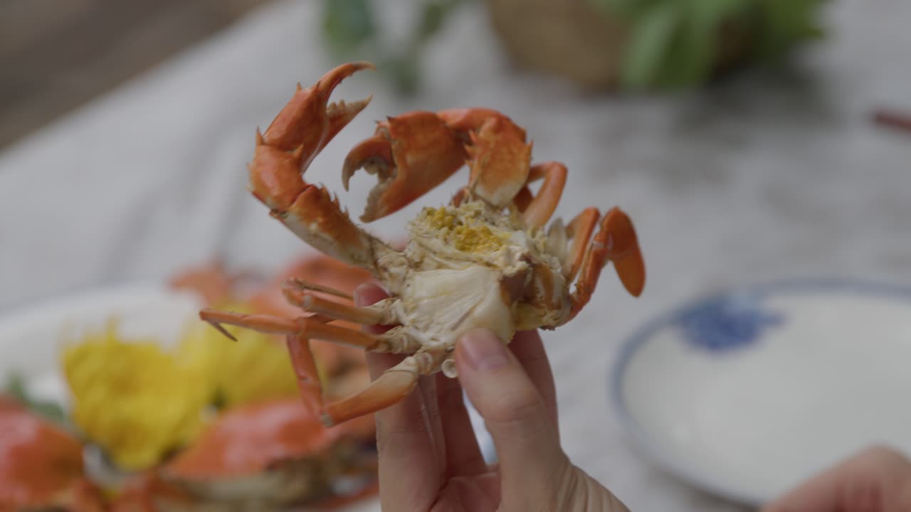 ⁇   ⁇ 질 이 없는 증기 로 요리 된 크래브 를 들고 있는 손