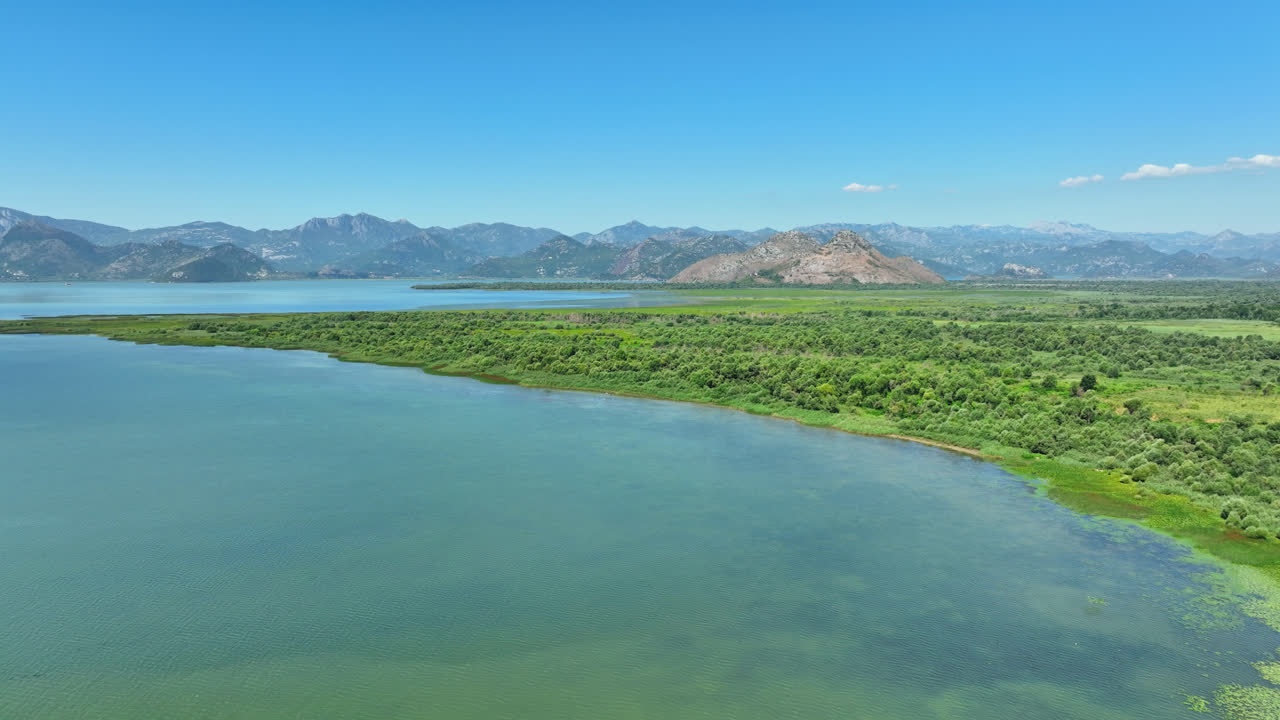 몬테네그로 의 스카다르 호수 국립 공원 에 있는 습지 위 를 회전 하는 공중 사진