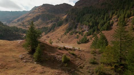 Nadelwald-Auf-Massiven-Bergen-Mit-Fließendem-Bach-Im-Argentera-tal-In-Der-Provinz-Cuneo,-Piemont,-Italien