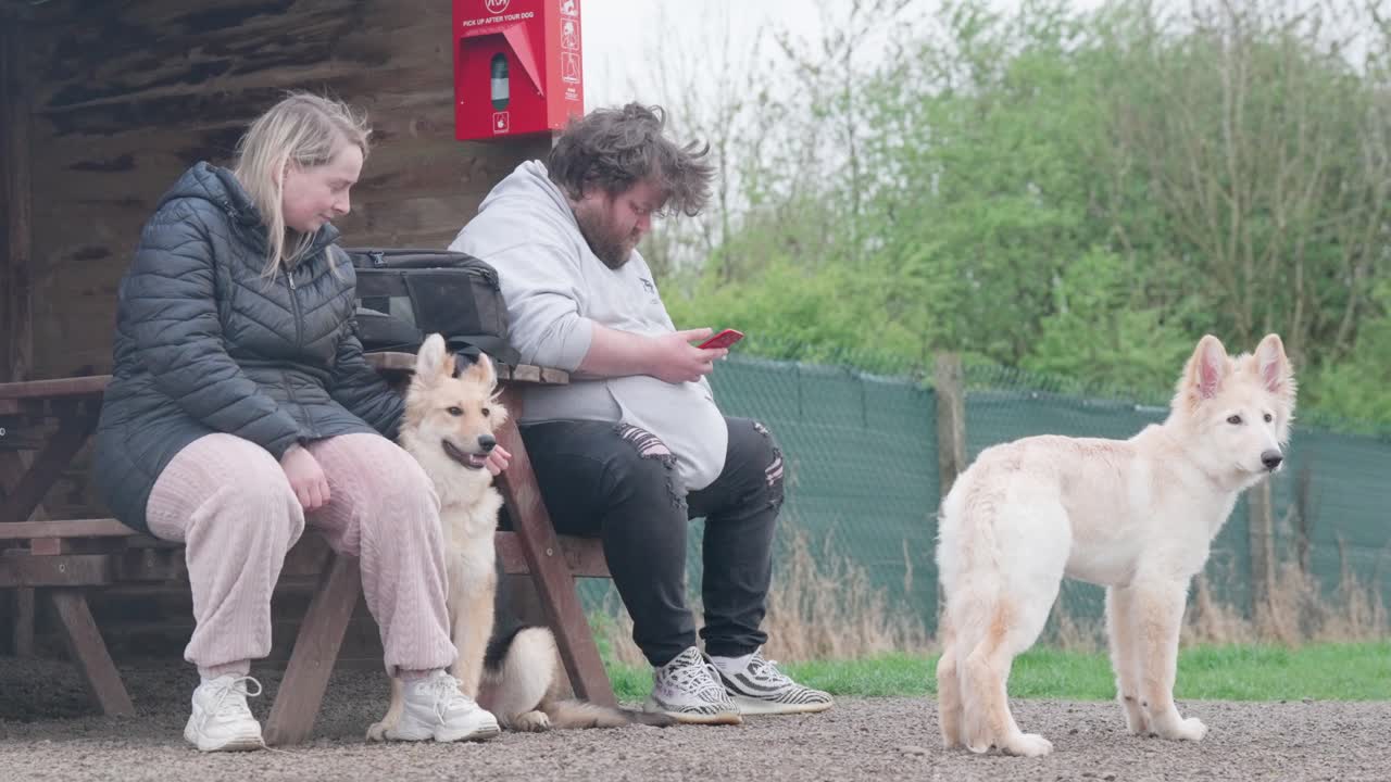 Relaxed couple with two German Shepherd dogs at a secure outdoor dog exercise field, sitting by a wooden shelter