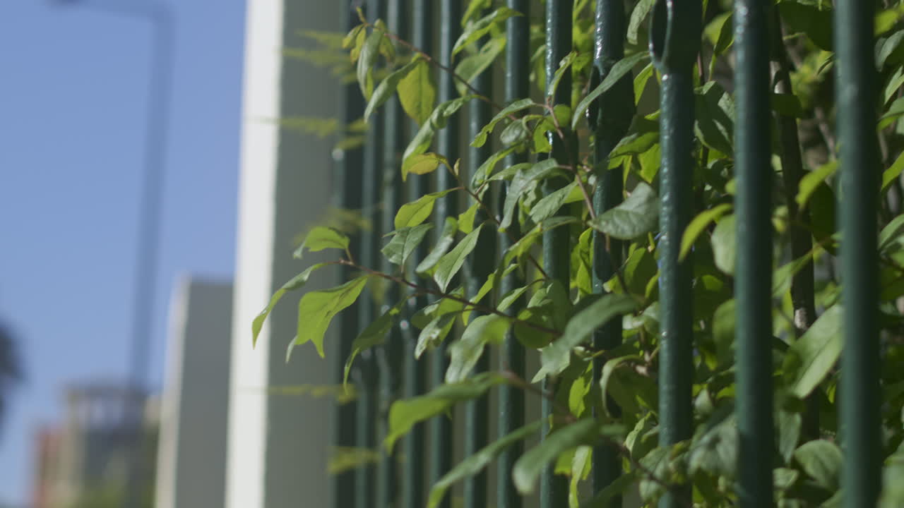 Some bush branches sticking out.