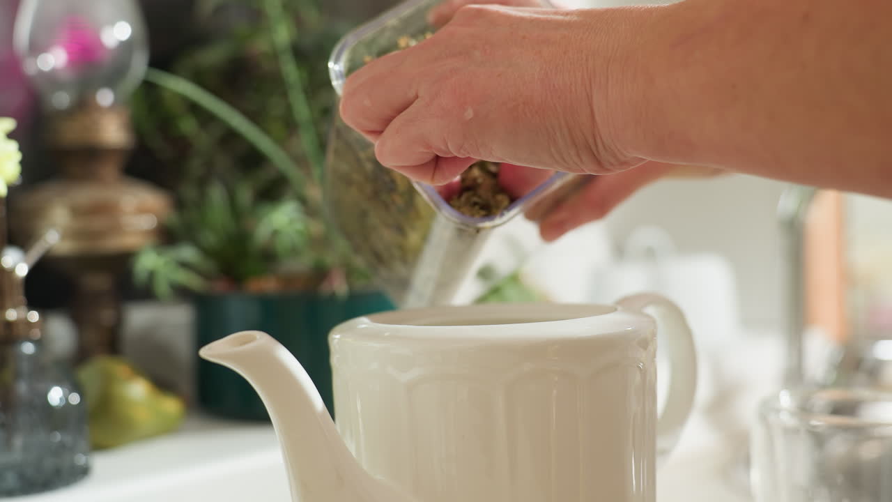 Close up hand view of person gently pouring dried herbs into white ceramic jug during herbal tea preparation in kitchen setting with soft morning light and blurred background of plants and glassware