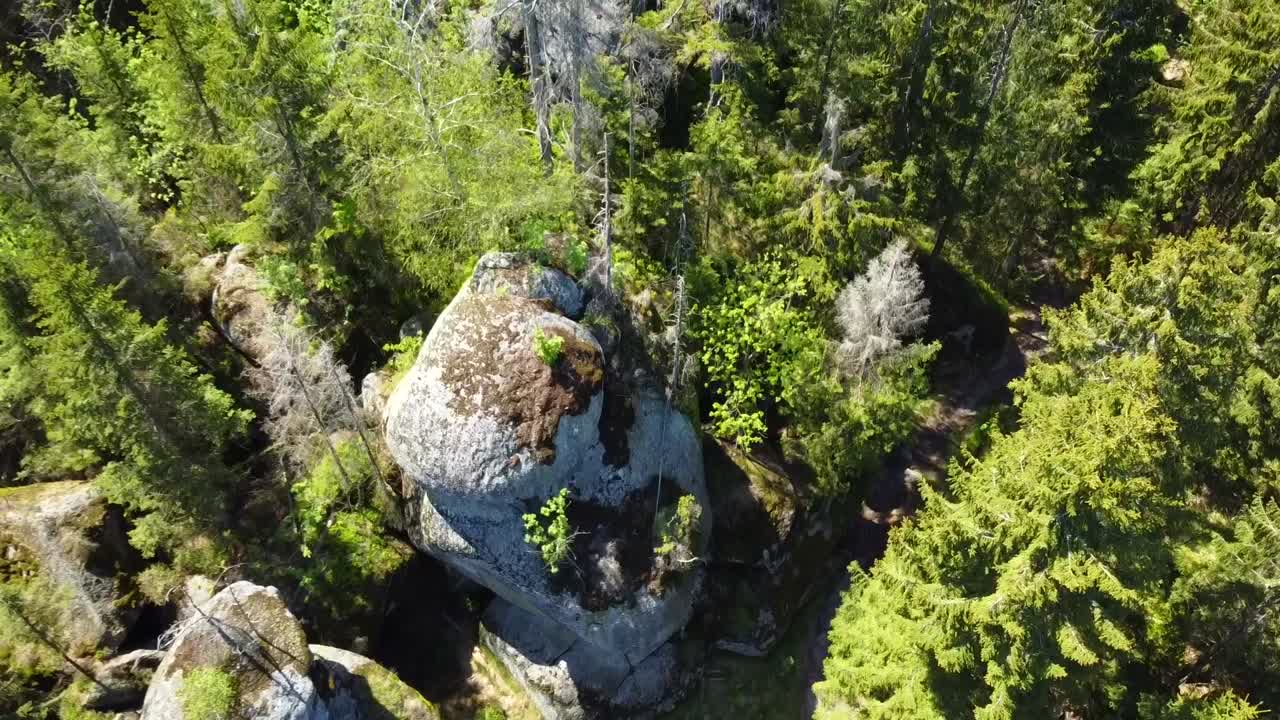 toma de un bosque en las montañas bávaras - el dron está volando a vista de pájaro volando sobre coníferas y rocas