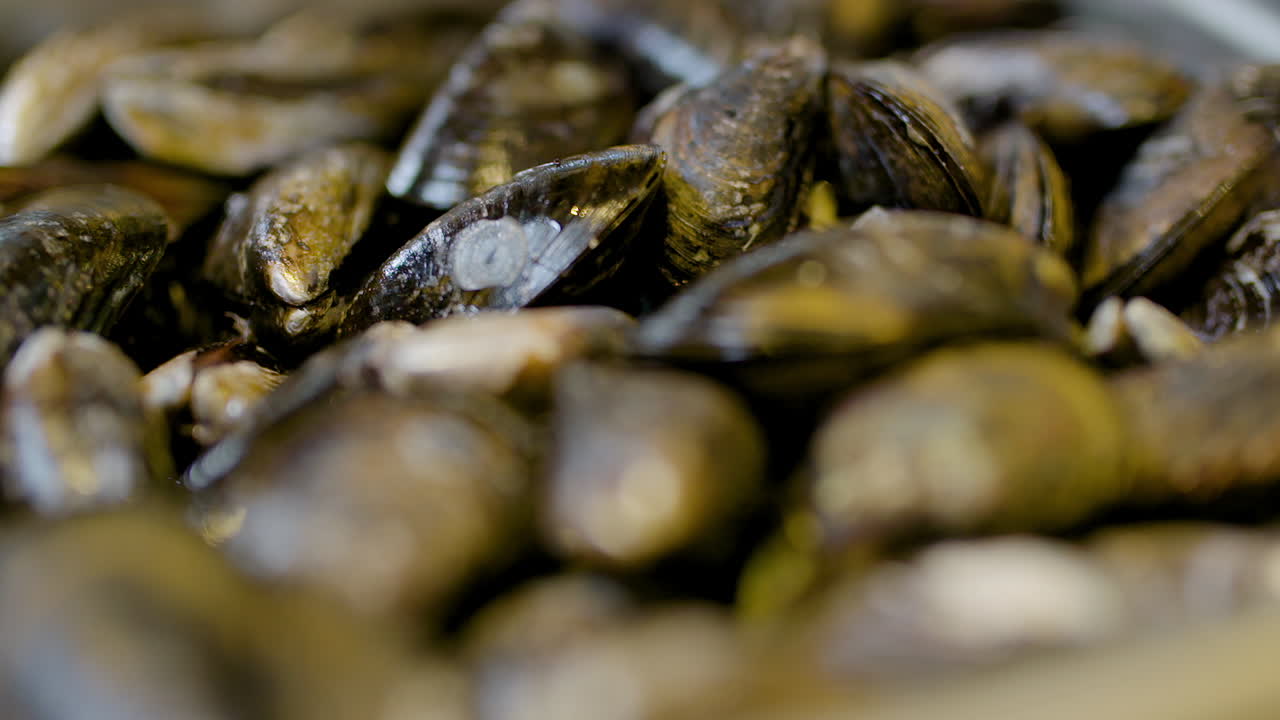 Fresh Mussels Ready For Mediterranean Dish